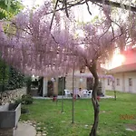 Casa Torre Allera Отель типа 