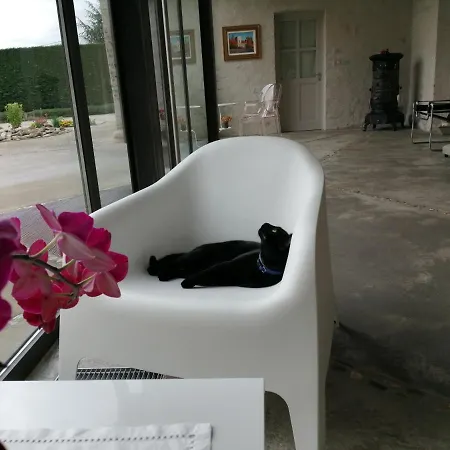 Casa Torre Allera 库尼奥