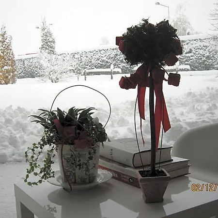 Casa Torre Allera Bed & Breakfast Cuneo